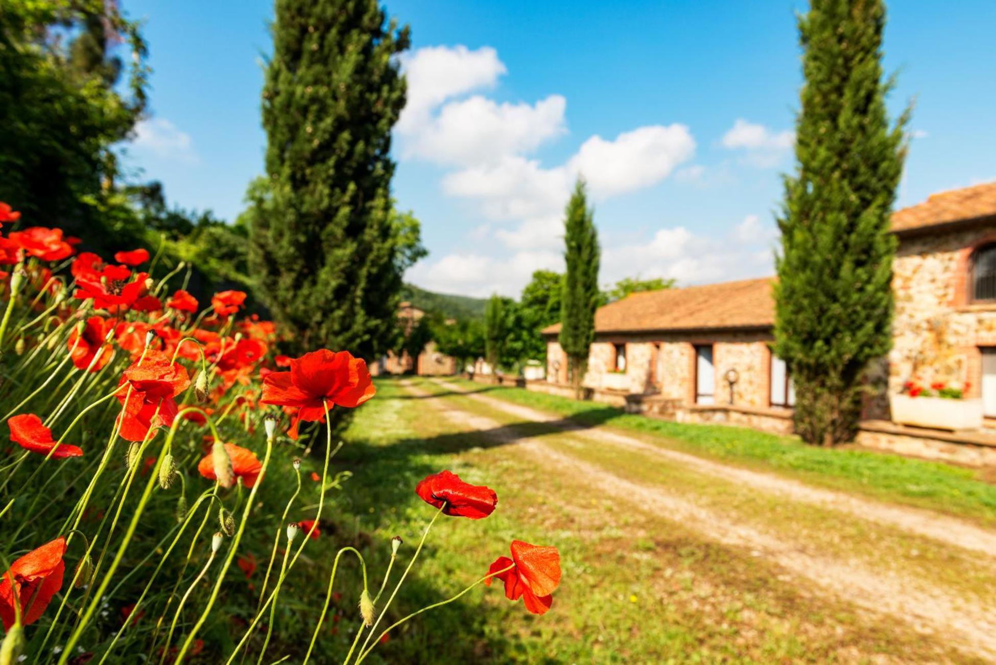 Podere Cascatelle&Agriletizia - Cascate Naturali Apartment Massa Marittima Exterior foto